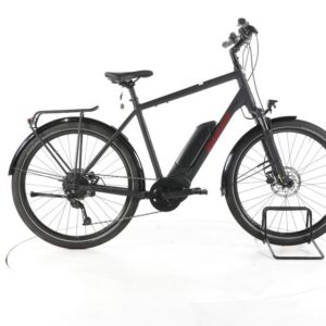 Diamant Zing+ Gen 1 Trekking E-Bike
