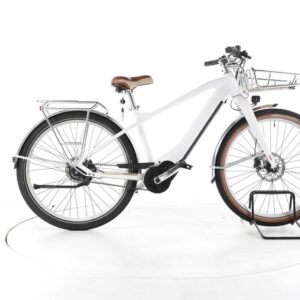 Bulls Sturmvogel EVO 5F City E-Bike