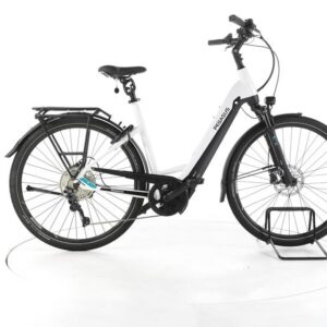 Pegasus Premio Evo 10 Lite Trekking E-Bike Tiefeinsteiger