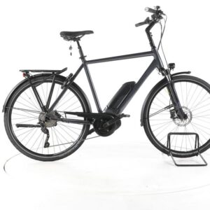Winora Tria 10 Trekking E-Bike
