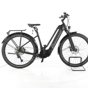 Diamant Zouma Deluxe+ Trekking E-Bike Tiefeinsteiger