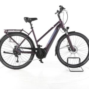 Pegasus Solero EVO 9 Trekking E-Bike