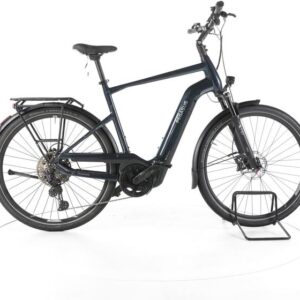Pegasus Premio Evo 11 40Years Trekking E-Bike Tiefeinsteiger
