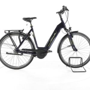 Hercules Roberta Deluxe I-F8 City E-Bike Tiefeinsteiger