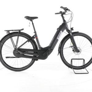 Batavus Altura E-go Power Pro City E-Bike Tiefeinsteiger 2025