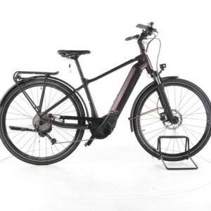 Giant AnyTour E+ 3 GTS Trekking E-Bike