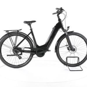 Winora Tria X7 Trekking E-Bike Tiefeinsteiger