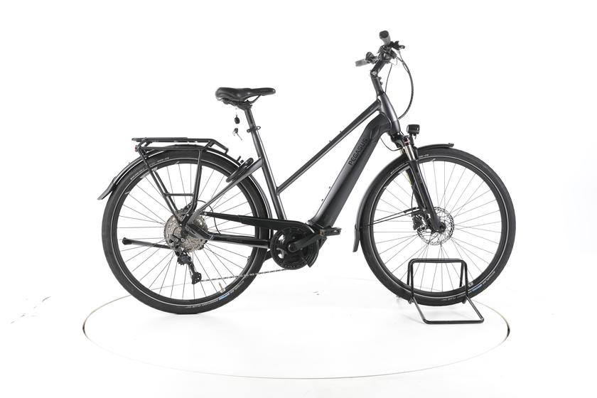 Pegasus Premio EVO 10 Lite Trekking E-Bike Tiefeinsteiger