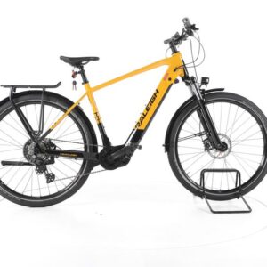 Raleigh Dundee 10 Trekking E-Bike