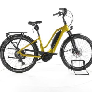 FLYER Upstreet3 7.10 Trekking E-Bike