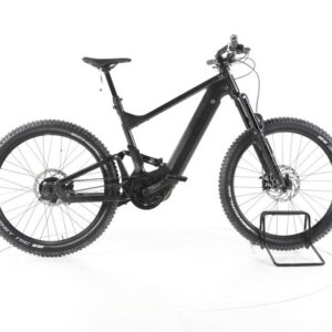 Riese & Müller Delite mountain rohloff E-Bike Fully