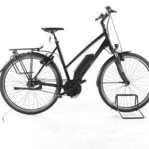 Gudereit EC-3.5 RT City E-Bike