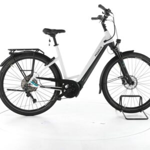Pegasus Premio EVO 10 Lite Trekking E-Bike Tiefeinsteiger