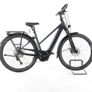 Pegasus Premio EVO 10 Lite Trekking E-Bike