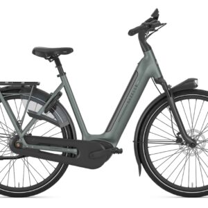 Gazelle Arroyo C8+ Elite 600 Wh Damen grün 2026