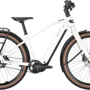 E-Bike  - Bulls Sturmvogel EVO Herren . 2026   - 43 cm