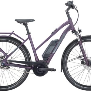 E-Bike  - Pegasus Solero E8R Plus Unisex   - 50 cm