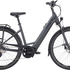 E-Bike  - Pegasus Premio EVO 10 Lite Wave schwarz   - 50 cm