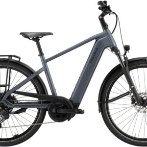 E-Bike  - Pegasus Solero Evo 10 Herren grau . 2026    - 45 cm