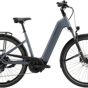 E-Bike  - Pegasus Solero Evo 10 Wave grau . 2026    - 45 cm
