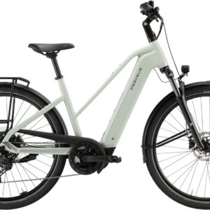 E-Bike  - Pegasus Solero Evo 10 unisex sage . 2026    - 45 cm