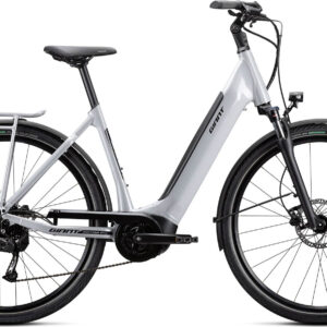 Giant DailyTour E+ 3 LDS - 2024 - Good Grey | XL