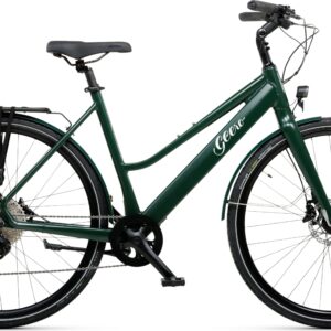 Geero FLEX E-Bike Pine 52 - schwarz & LC Display - gebogener Lenker
