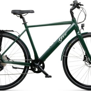 Geero FLEX E-Bike Pine 54 - schwarz & LC Display - gerader Lenker