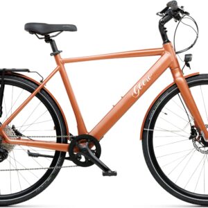 Geero FLEX E-Bike Copper 54 - schwarz & OLED Display - gerader Lenker