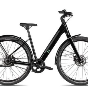 2R Manufaktur Onno Wave | emerald black | 48 cm | E-Cityräder