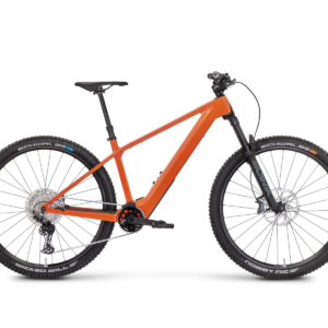 Rose Bonero Plus 1