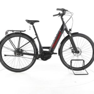 Diamant Beryll Esprit+ City E-Bike Tiefeinsteiger