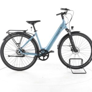 TENWAYS CGO800S City E-Bike Tiefeinsteiger