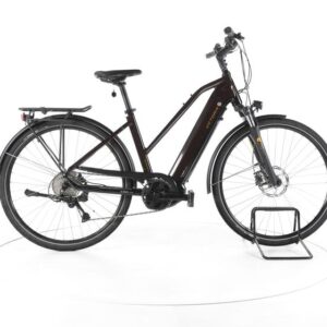 Victoria eTrekking 12.8 Trekking E-Bike
