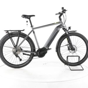Winora Sinus iX10 Trekking E-Bike
