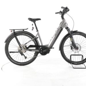 Centurion E-Fire City R960i Plus Trekking E-Bike Tiefeinsteiger