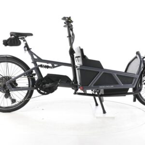 Riese & Müller Load 60 E-Lastenrad