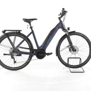 Carver Route E.420 Trekking E-Bike Tiefeinsteiger