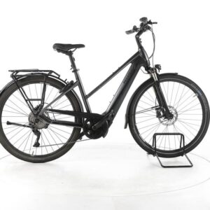 Pegasus Premio EVO 10 lite Trekking E-Bike