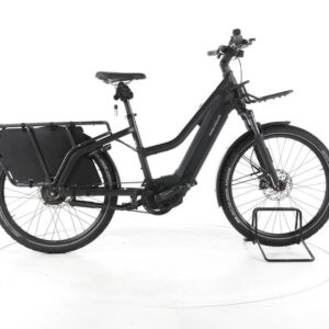 Riese & Müller Multicharger Mixte GT Vario E-Lastenrad