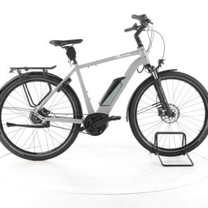 FALTER E 9.3 RT City E-Bike