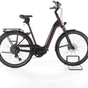 Pegasus Strong Evo 10 Lite Trekking E-Bike Tiefeinsteiger 2024