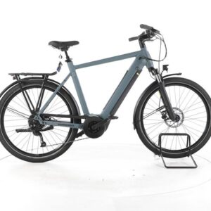 Winora Sinus 9 Trekking E-Bike
