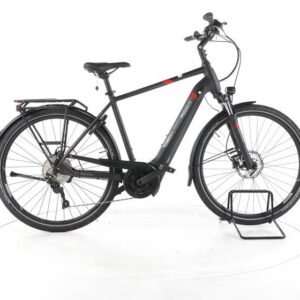 Pegasus Premio EVO 10 Trekking E-Bike