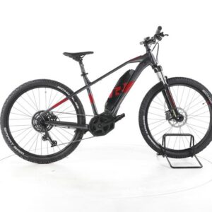 R Raymon HardRay E 3.0 E-Bike