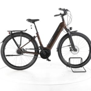 Raleigh Bristol XXL City E-Bike Tiefeinsteiger