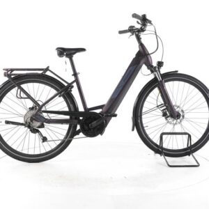 Pegasus Solero Evo 9 Trekking E-Bike Tiefeinsteiger 2024