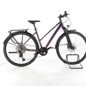 Winora Domingo X12 Pro Fahrrad City & Trekking