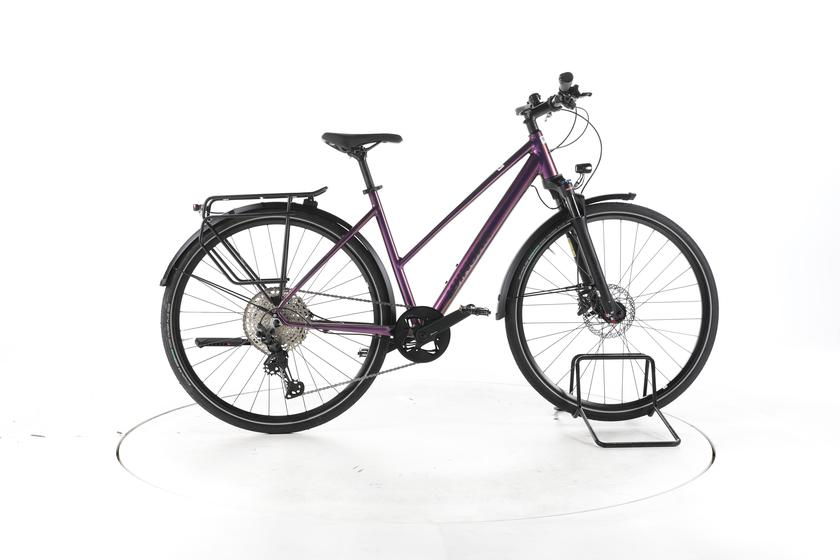 Winora Domingo X12 Pro Fahrrad City & Trekking