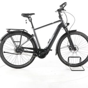 Pegasus Premio Evo 5 Lite Comfort City E-Bike